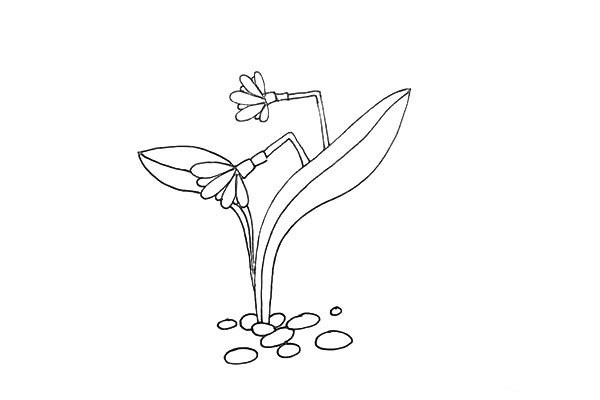 How to draw beautiful daffodils