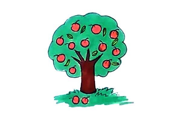 How to draw an apple tree