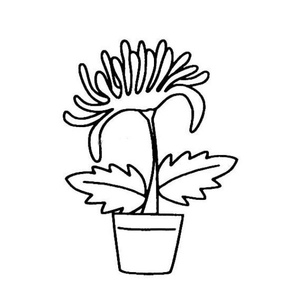 Simple drawing of flowers in a flowerpot