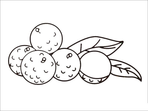 How to draw lychee