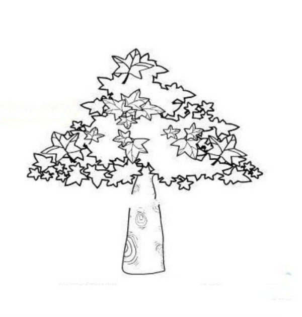 Simple drawing of mulberry tree