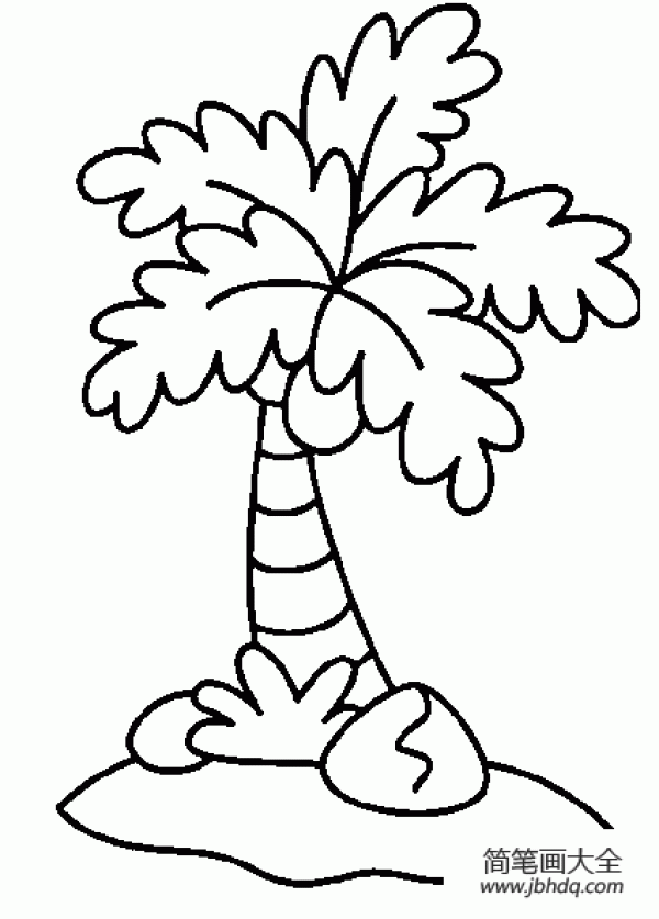 Simple drawing of coconut tree in midsummer