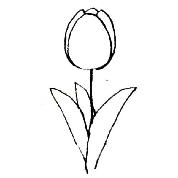 Tulip simple strokes drawing tutorial