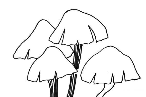 Black and white line drawing small mushroom