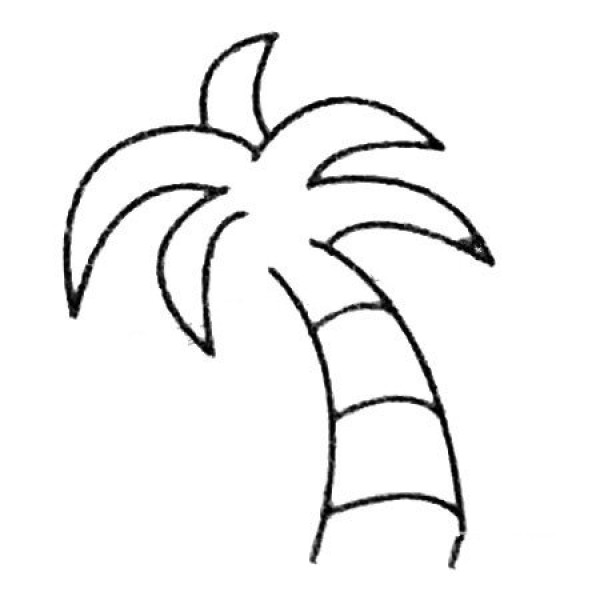 Complete picture collection of coconut tree simple strokes and drawing steps