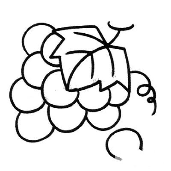 Simple Drawing for Intermediate Grapes