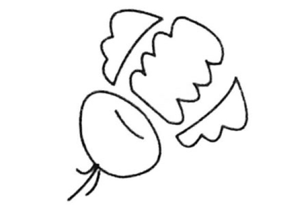 A complete collection of simple drawing pictures and steps of drawing radish