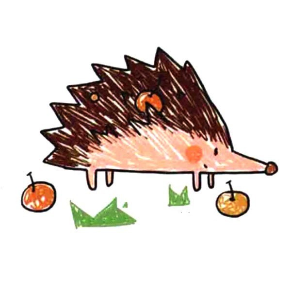 terrestrial wildlife hedgehog