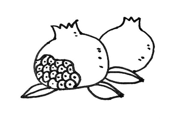 Learn to draw pomegranate with simple strokes