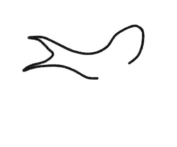 Simple and easy to learn swallow drawing