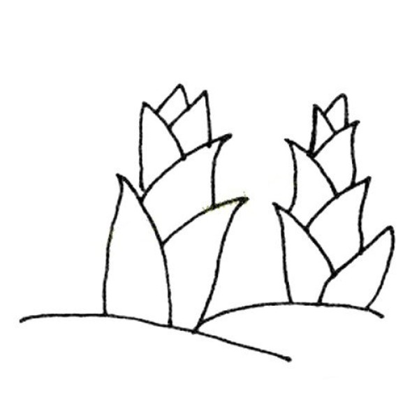 Simple strokes of bamboo shoots in spring