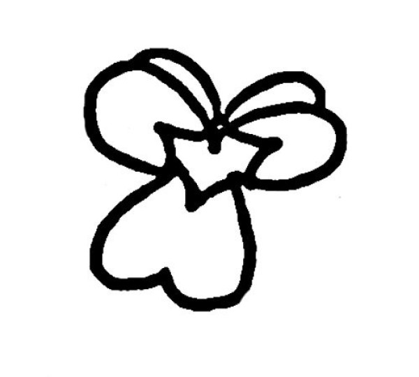 Carnation simple drawing method