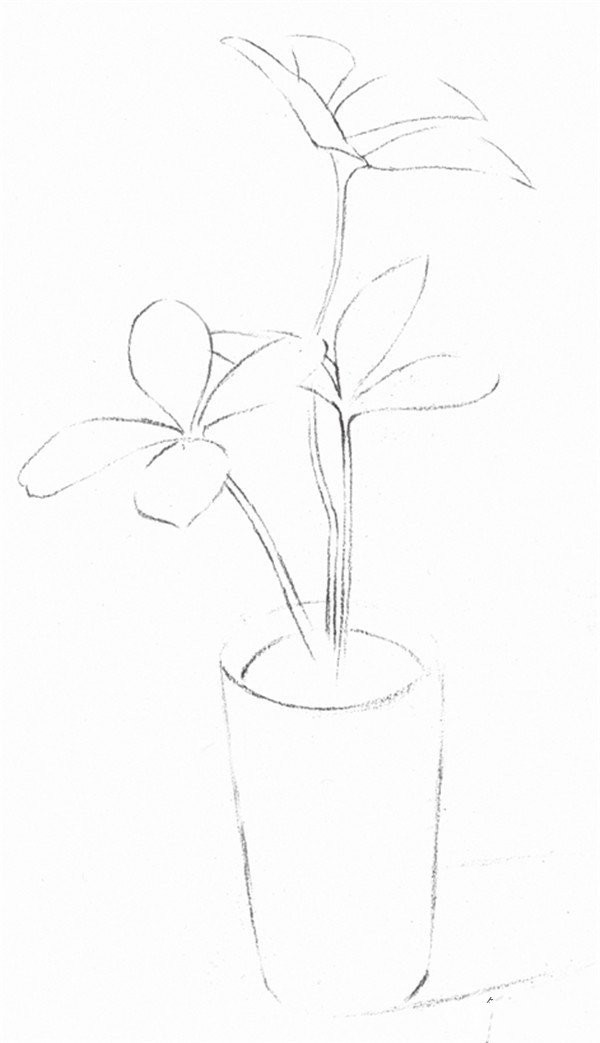 Sketch drawing techniques of four-leaf clover