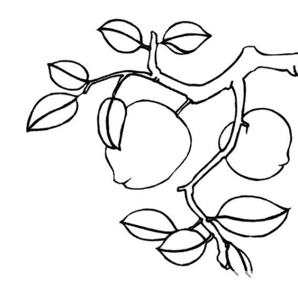 About the simple drawing of peach tree trunk