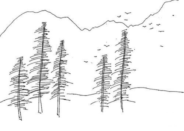 Introduction to how to draw a big tree in simple strokes