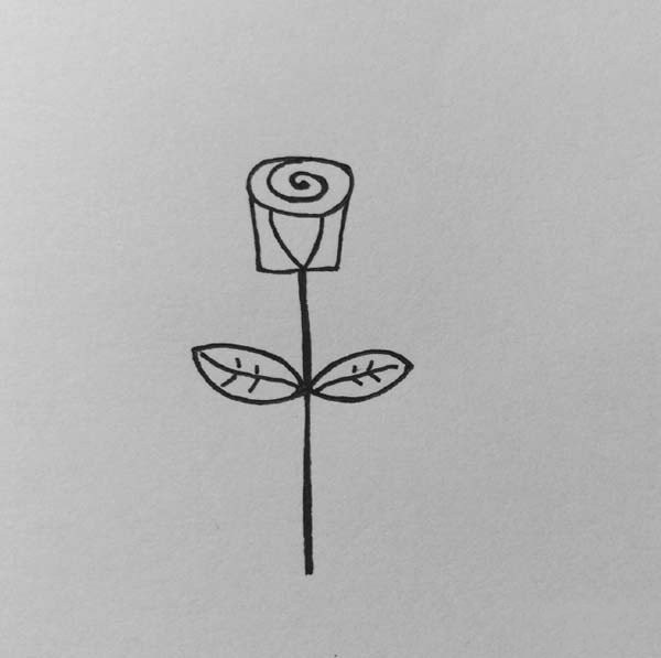 Simple drawing method of rose flower