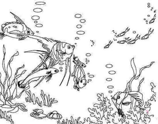 Black and white simple drawing pictures of the underwater world