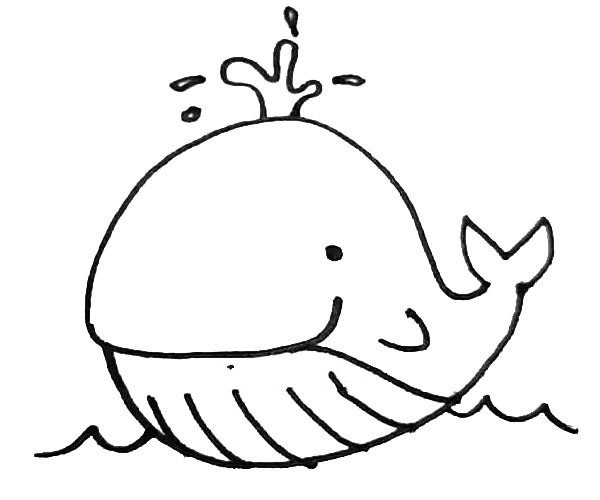 Learn to draw a cute whale