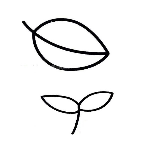 Simple drawing of small leaves