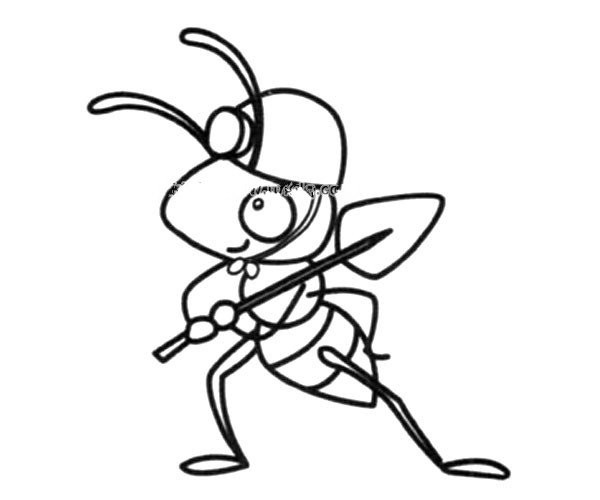 worker ant