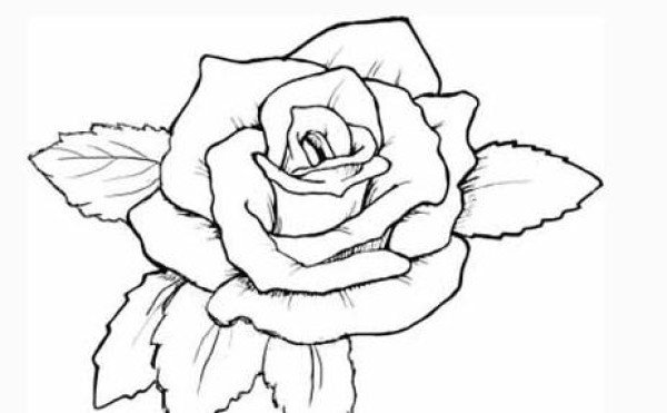 Simple drawing of hand-painted roses. How to draw simple roses.