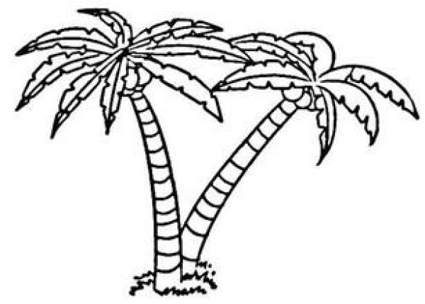 2016 Summer Beach Coconut Tree Simple Drawing