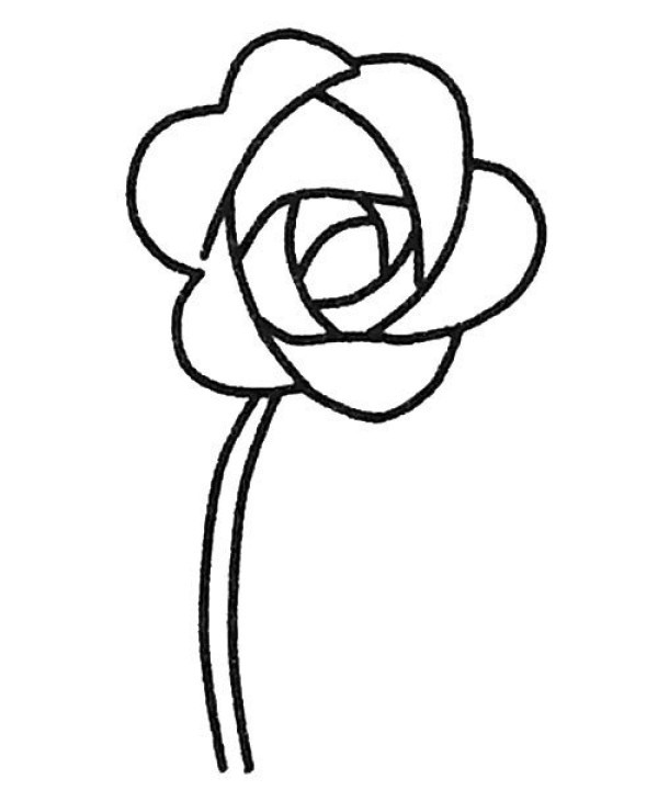 Six beautiful simple drawing pictures of roses