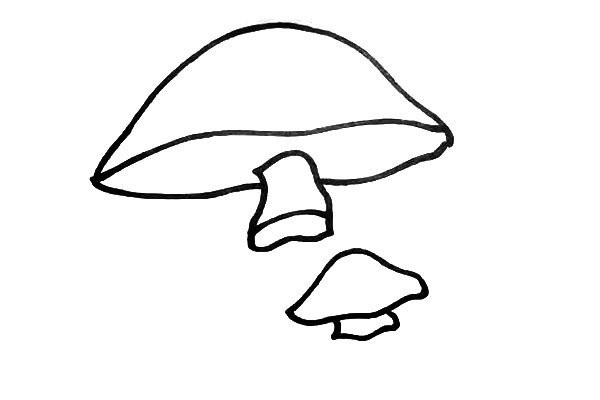 How to draw cute mushrooms