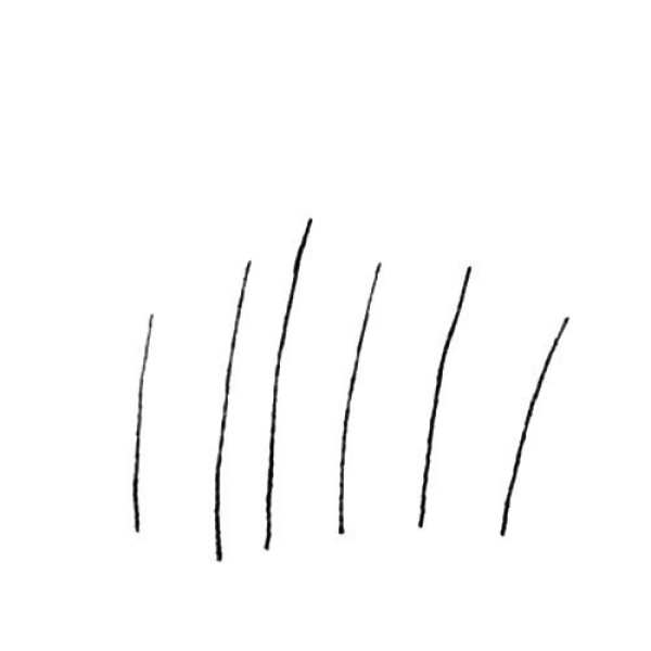 Miscanthus simple strokes drawing tutorial