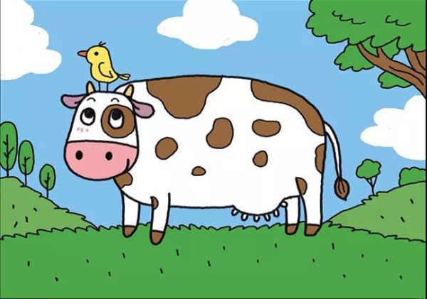 How to draw cows on the farm