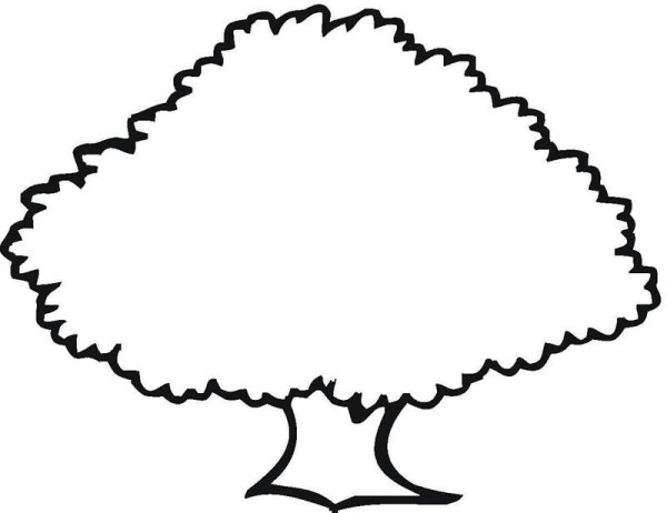 Kindergarten teaches children to draw big trees