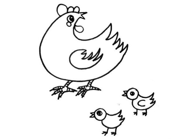 Simple drawing of hen with two chicks