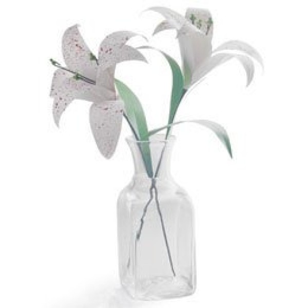 How to make beautiful lilies by hand