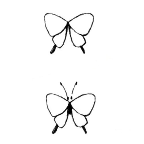 Swallowtail simple strokes drawing tutorial