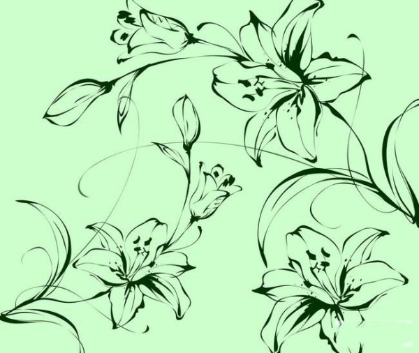 Complete collection of simple drawings of lilies. Simple drawings of lilies.