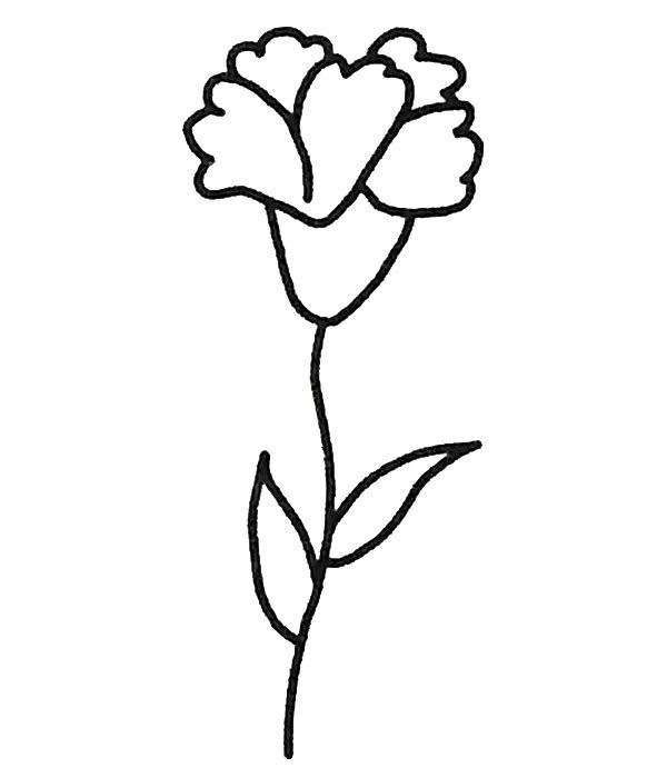 Childrens simple drawings, simple drawings of carnations and pictures