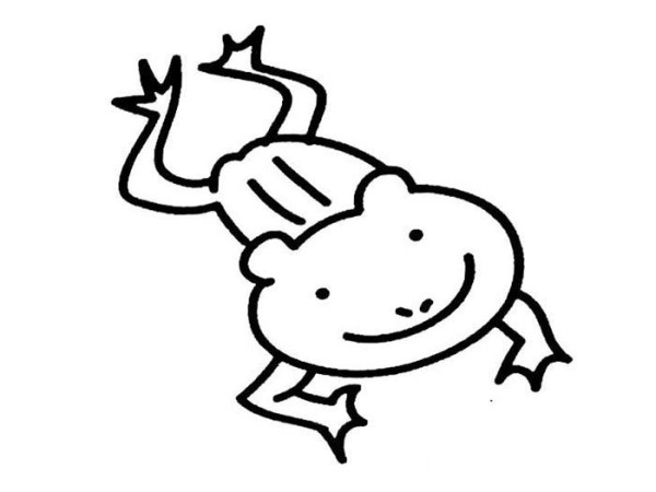 Simple drawing of frog