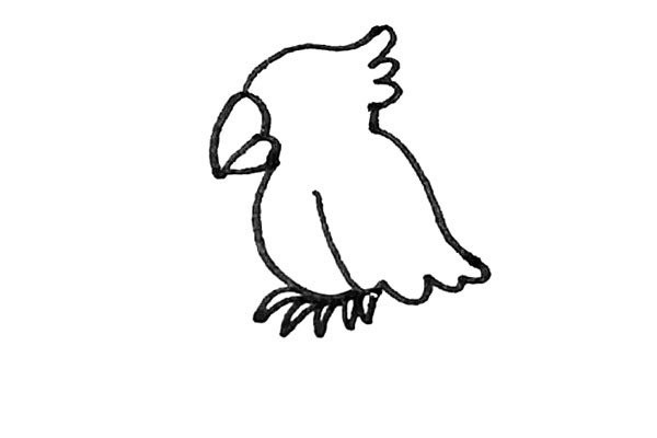 Children learn to draw parrots easily