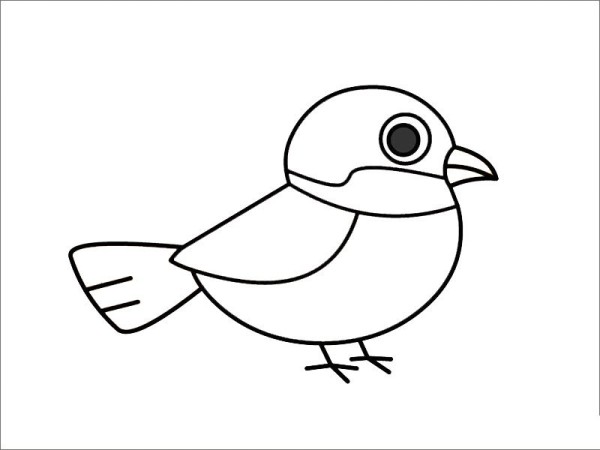 How to draw a sparrow