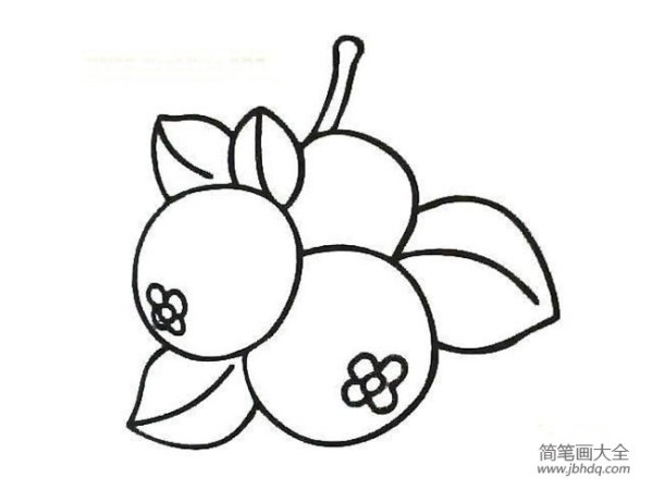 Simple picture of sweet and sour loquat