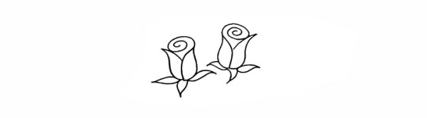 How to draw a rose