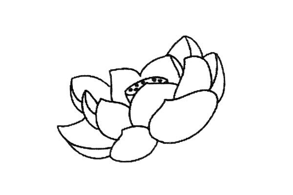 Fresh lotus simple strokes drawing tutorial