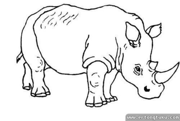 Rhinoceros simple drawing tutorial: tall rhinoceros