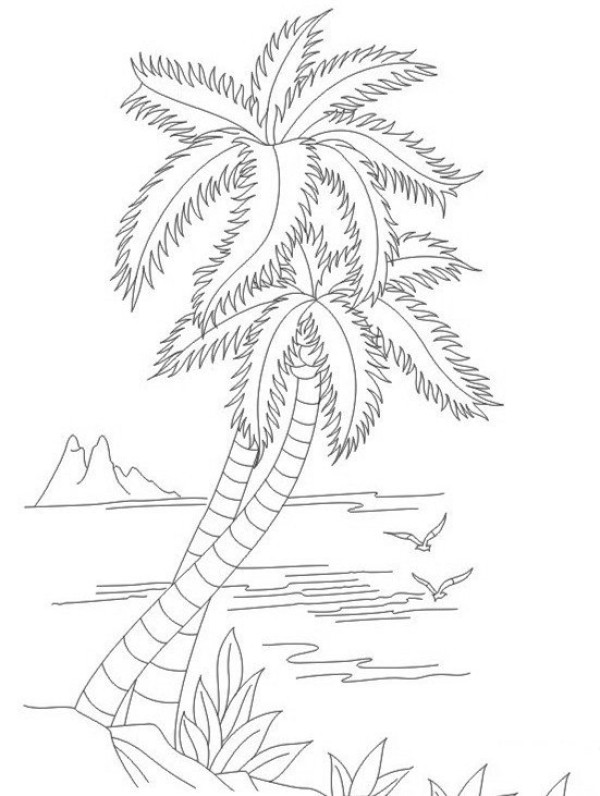 A complete collection of childrens coconut tree simple drawings in 2016