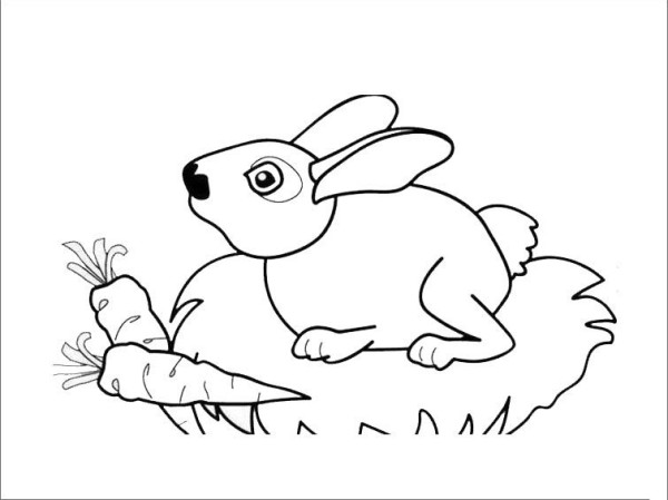 Simple drawing of a rabbit