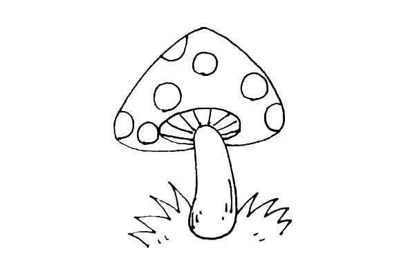 How to draw beautiful mushrooms