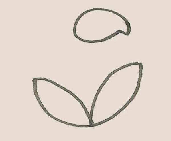 Simple strokes of calla lily