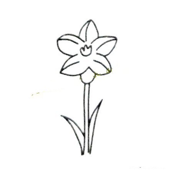 6 beautiful orchid simple drawing pictures