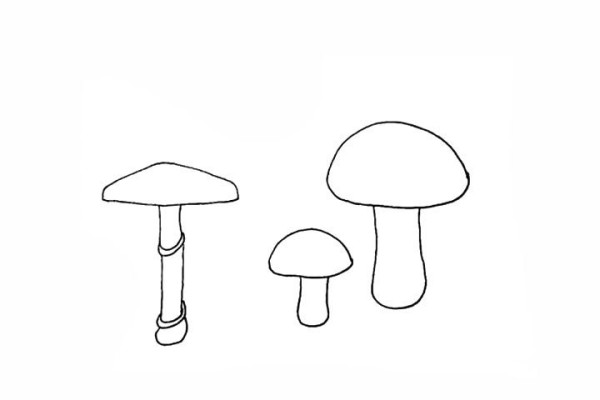 A set of simple drawing tutorials for mushrooms