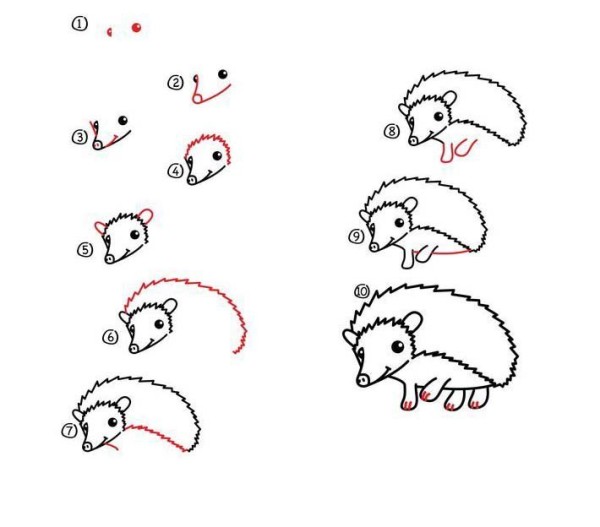 Simple drawing tutorial, simple drawing steps of a hedgehog